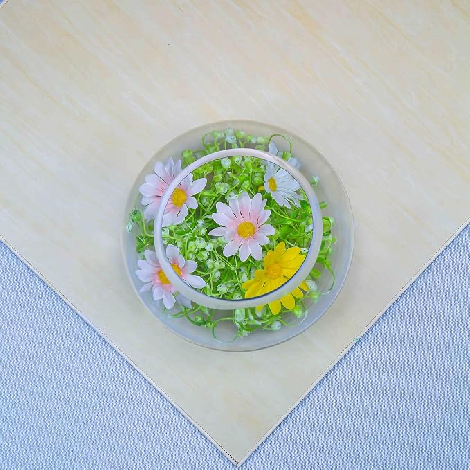 CYS EXCEL Glass Bubble Bowl (H-6" W-8", Approx. 3/4 Gal.) Small Fish Bowl Round Terrarium Vase Globe Flower Centerpiece for Weddings Events Arrangements