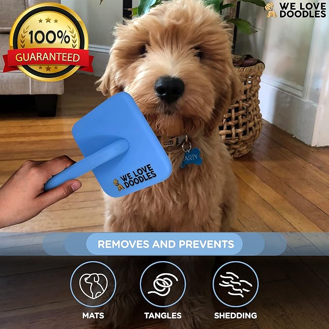 Slicker Brush for Dogs, Dog Grooming Supplies - Best Doodle & Poodle Brush for Haired Dogs - Goldendoodle Pin Detangler for Dematting (Large)