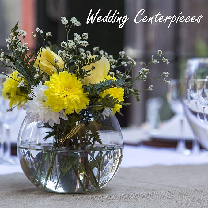 CYS EXCEL Glass Bubble Bowl (H-6" W-8", Approx. 3/4 Gal.) Small Fish Bowl Round Terrarium Vase Globe Flower Centerpiece for Weddings Events Arrangements