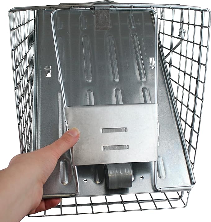 Havahart Large 1-Door Live Animal Trap for Raccoons, Cats, Bobcats, Beavers, Skunks - Heavy Duty Humane Catch and Release Cage Trap for Outdoor Pest Control, 1079SR