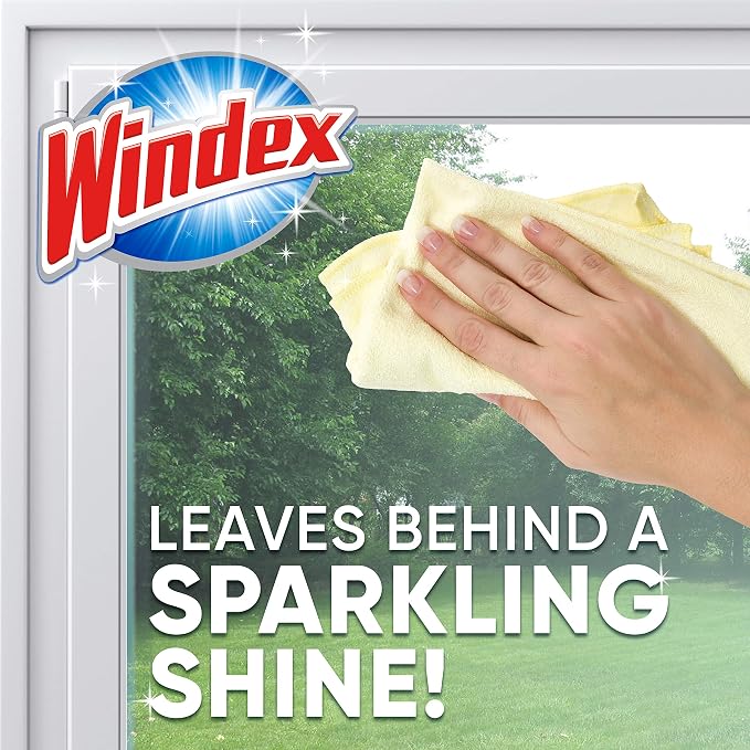 SC Johnson Professional Windex Foaming Glass Cleaner, Fresh, 20 oz Aerosol Spray, 6/Carton (333813)