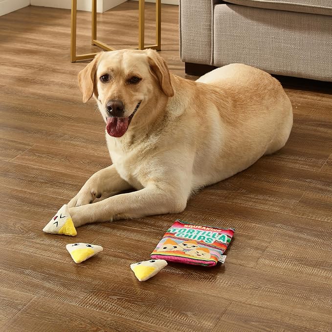 Outward Hound Snack Bag Tortilla Chips Puzzle Squeaky Dog Toys