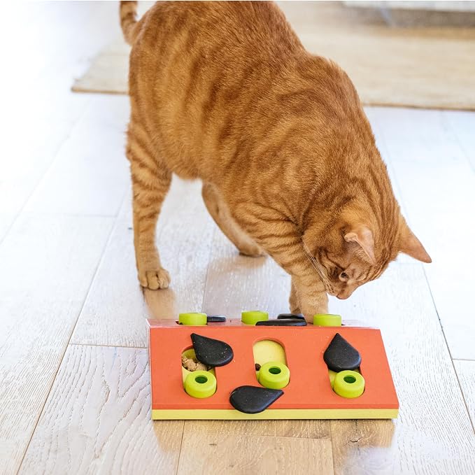 Catstages Nina Ottosson Melon Madness Puzzle & Play Cat Puzzle Feeder – Interactive Treat Game for Indoor Cats, Level 2 Slow Feeder Enrichment Toy, 10.5" x 10.6"