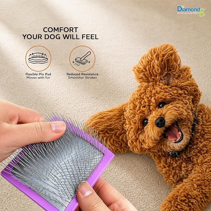 Diamondg Pet Slicker Brush for Dogs & Cats – Professional Grooming Brush for Shedding, Detangling & Coat Maintenance, Gentle Fine Wire Pins, Ergonomic Handle, Purple