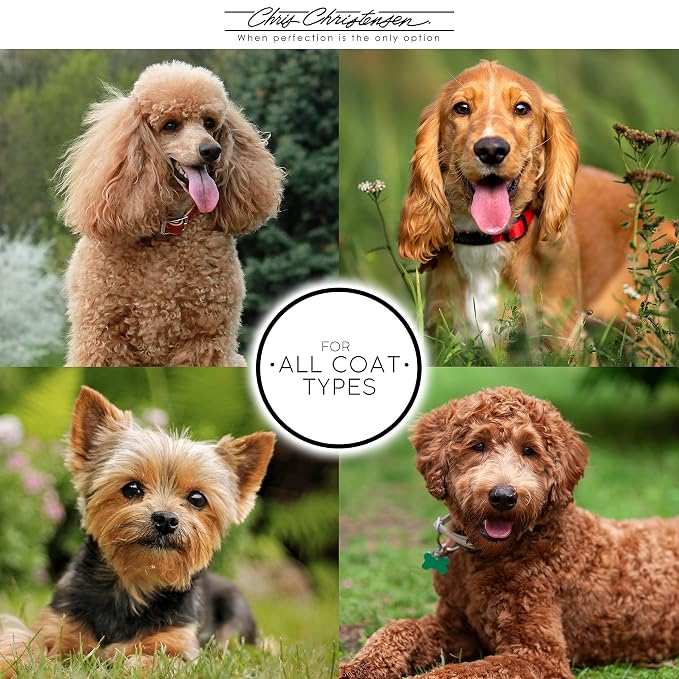 Chris Christensen Grooming Kit for Goldendoodles, Labradoodles, Poodles with Big G Dog Slicker Brush, Ice on Ice Detangling Spray, Pro Line Self Rinse Plus Spray