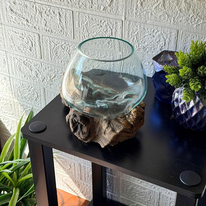 Planter Terrarium with Molten Glass Bowl on Driftwood, 7.5 Inch | Natural Base Varies by Piece, 3.5 Inch Opening, 4 Inch Center Depth, Freestanding for Shelves or Desks
