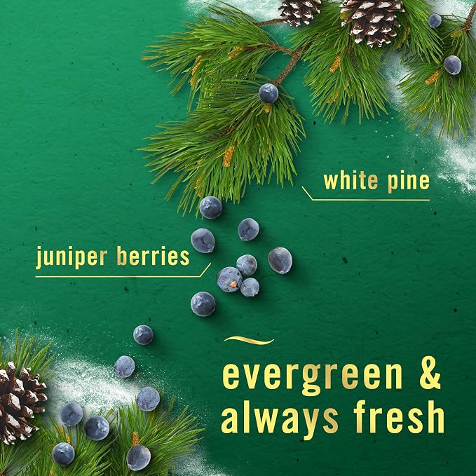 Febreze Plug in Air Freshener, Odor-Fighting Scented Oil Refill, for Home, Bathroom, & Kitchen, Long Lasting, Limited Edition Holiday Winter Pine and Juniper Berry Scent, 0.87oz Refills, 4 Count