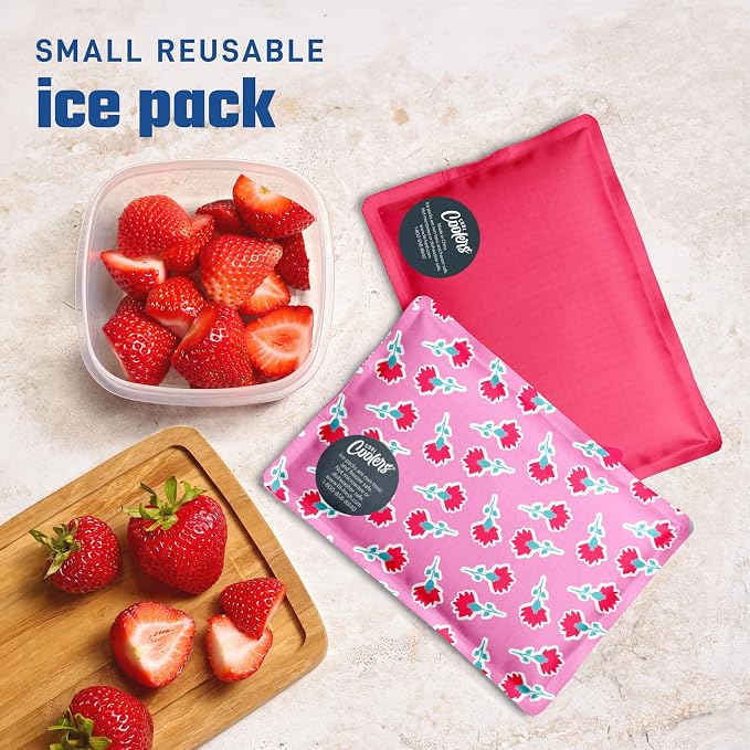 Fit & Fresh Cool Coolers Soft Ice for Lunch Bags 2pk, Flexible Stretch Nylon, Durable, Reusable Lunch Box Ice Packs, Soft Ice, Reusable Freezer Packs, Lunch Ice, Sweet Pink Block Print