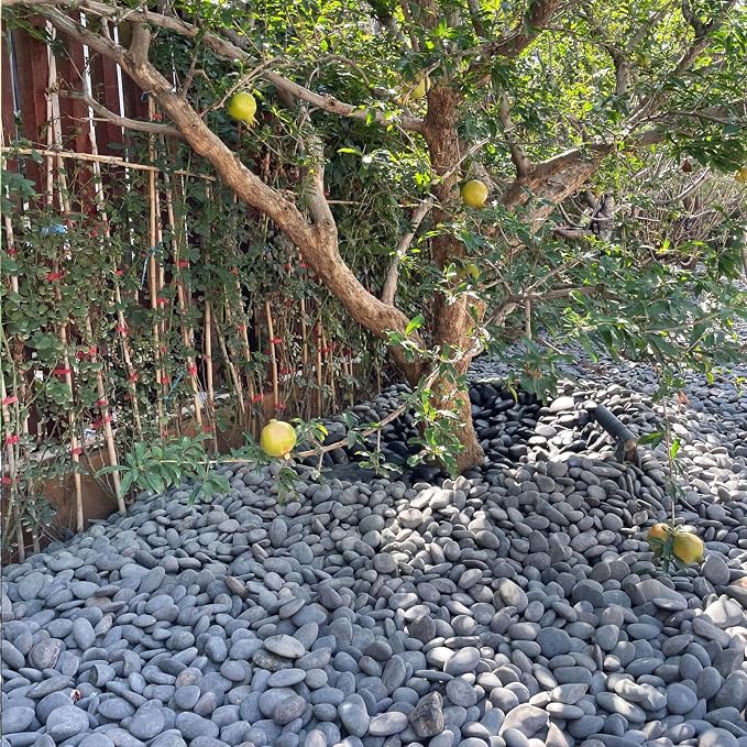 FANTIAN 40 lbs Black River Rocks for Landscaping, 2-3 Inch Pebbles | Large Black Stones Decorative Black Rocks for Garden,Plants, Paving, Fountain, Walkways, Outdoor, Safe for Fish