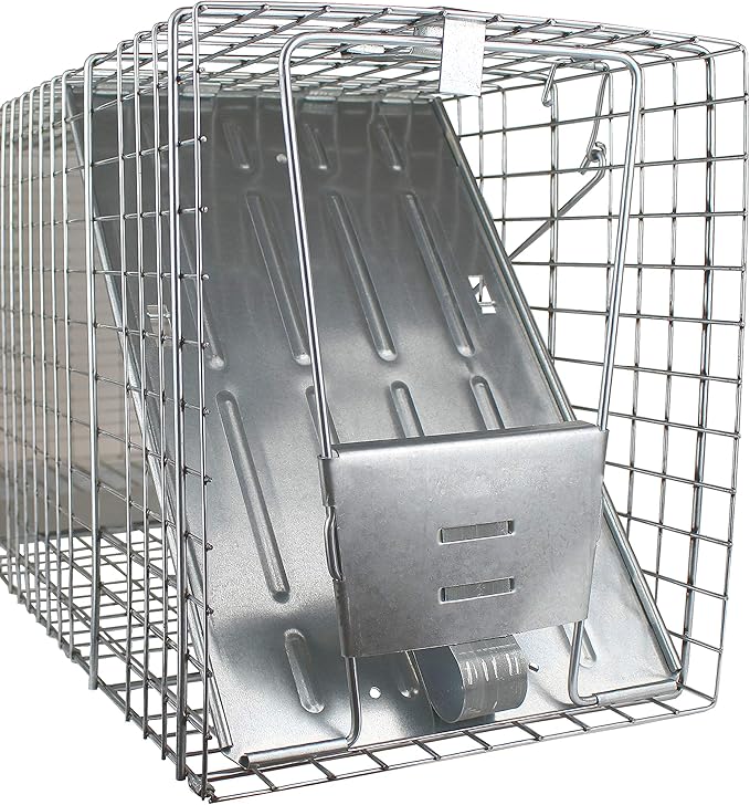 Havahart Large 1-Door Live Animal Trap for Raccoons, Cats, Bobcats, Beavers, Skunks - Heavy Duty Humane Catch and Release Cage Trap for Outdoor Pest Control, 1079SR