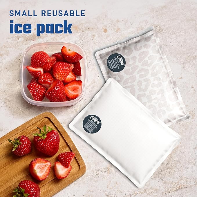 Fit & Fresh Cool Coolers 2 Pack Soft Ice for Lunch Bags, Flexible Stretch Nylon, Durable, Reusable Lunch Box Ice Packs, Soft Ice, Reusable Freezer Packs, Lunch Ice, Easy to Clean, Ivory Feline