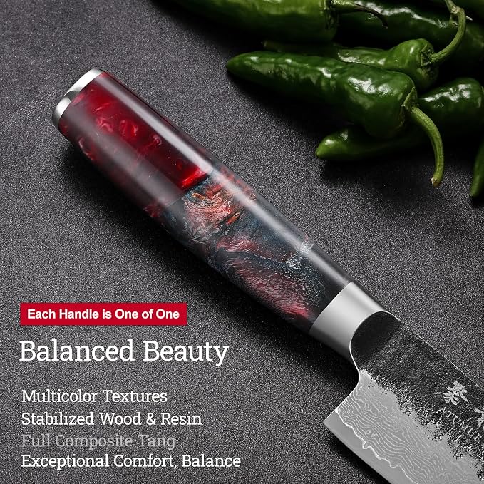 8'' Black-Forged Japanese Chef Knife, Damascus VG10 Steel | Hand Forged Finish, Damascus Stainless Steel Cladding, Red Resin Wood Handle, Leather Sheath Included, Premium Gift Box