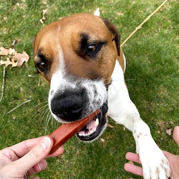 Ark Naturals Protection+ Brushless Toothpaste Chews - Large Breeds (12 ct) | Vet Formulated Dog Dental Chew with Toothpaste Center - Freshens Breath and Prevents Plaque & Tartar