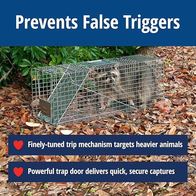 Havahart Large 1-Door Live Animal Trap for Raccoons, Cats, Bobcats, Beavers, Skunks - Heavy Duty Humane Catch and Release Cage Trap for Outdoor Pest Control, 1079SR