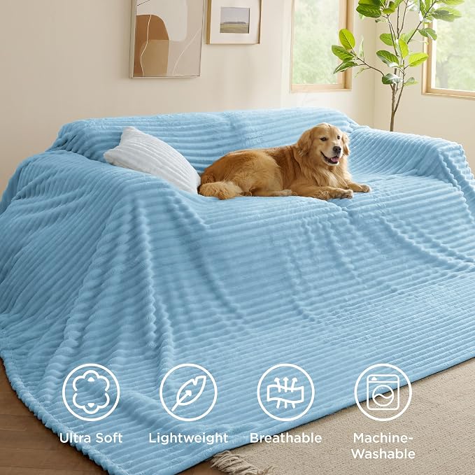 Bedsure GentleSoft Large Fleece Blanket for Bed - Cozy Soft Throw Blankets for Women, Cute Large Throws for Girls, Light Blue, 120x120 Inches