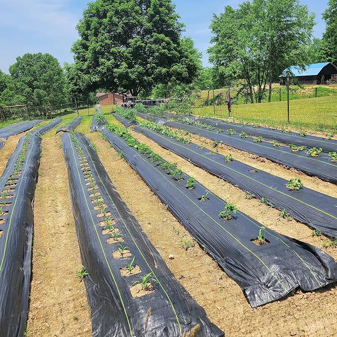 KANAGAWA 4ft x 300ft Weed Barrier Fabric, 6oz Heavy-Duty Woven Landscape Fabric with Staples, Breathable Weed Control for Garden Beds, Driveways, Farming & Landscaping