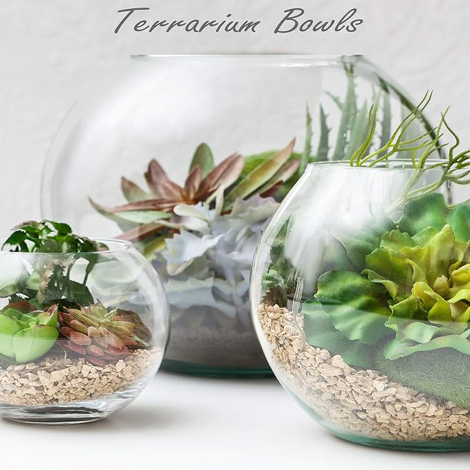 CYS EXCEL Glass Bubble Bowl (H-7.5" W-10, Approx. 1.6 Gal.) Multiple Size Choices Fish Bowl Vase Glass Round Bowl Terrarium Globe Flower Vase Centerpiece