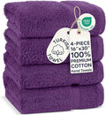 Chakir Turkish Linens 4 Piece Hand Towels, 100% Cotton Turkish Towels for Bathroom, Luxury Soft Absorbent Hand Towel Set, 16 x 30 Inches, Eggplant