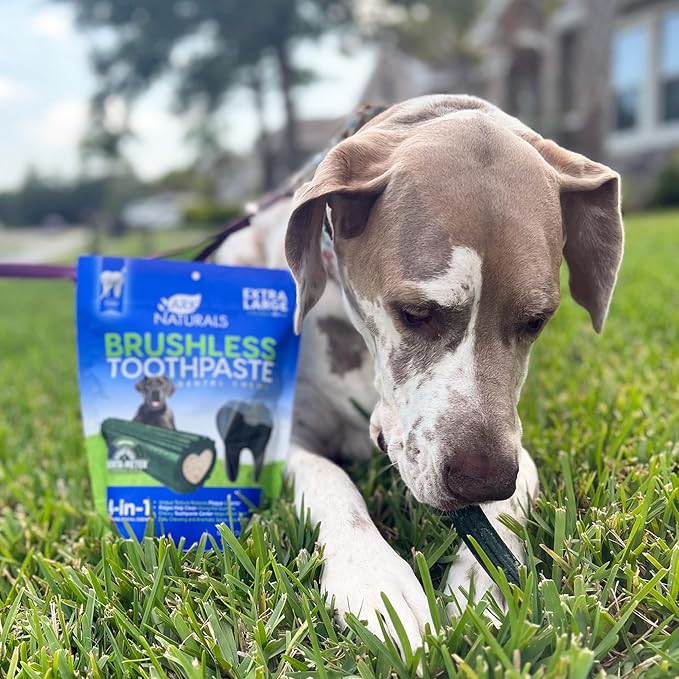 Ark Naturals Brushless Toothpaste, Dog Dental Chews for Extra Large Breeds, Freshens Breath, Unique Texture Helps Reduce Plaque & Tartar, 24oz (Pack of 6)