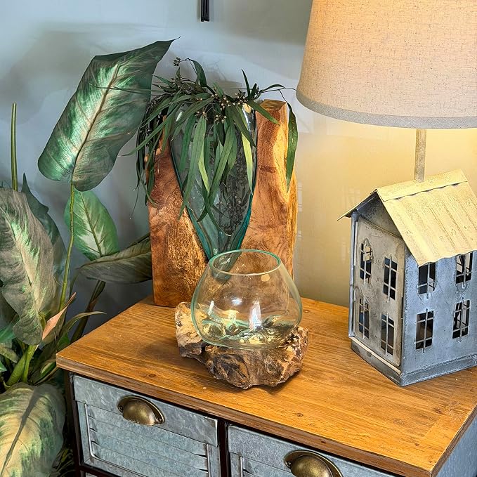 Planter Terrarium with Molten Glass Bowl on Driftwood, 7.5 Inch | Natural Base Varies by Piece, 3.5 Inch Opening, 4 Inch Center Depth, Freestanding for Shelves or Desks